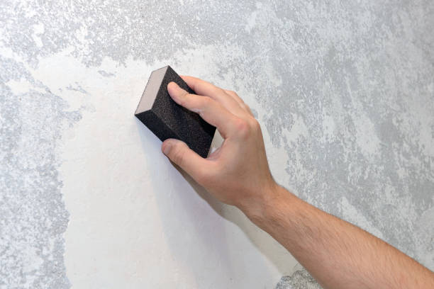  Niagara University, NY Mold Removal Pros