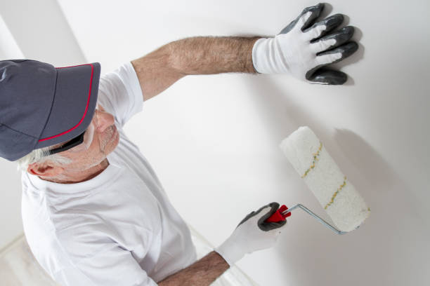 Best Mold-Related Health Consultation  in Niagara University, NY