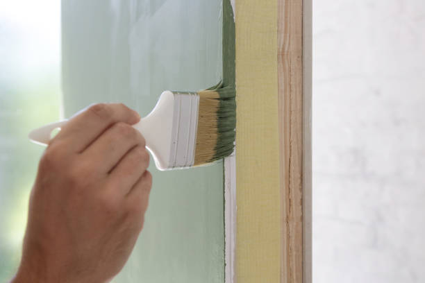 Best Emergency Mold Remediation  in Niagara University, NY