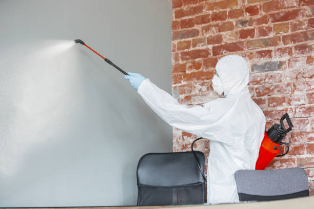 Best Airborne Mold Testing  in Niagara University, NY