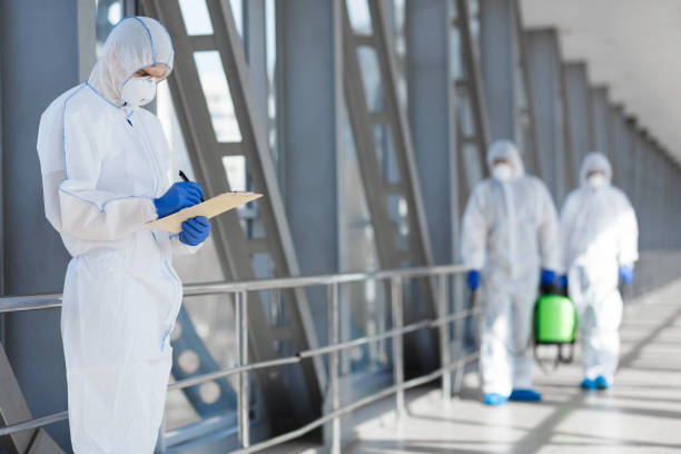 Best Attic Mold Removal  in Niagara University, NY