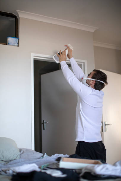 Best Mold Odor Removal Services  in Niagara University, NY