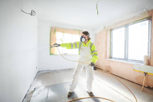 Best Black Mold Removal  in Niagara University, NY