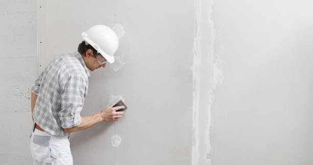Forensic Mold Investigation in Niagara University, NY
