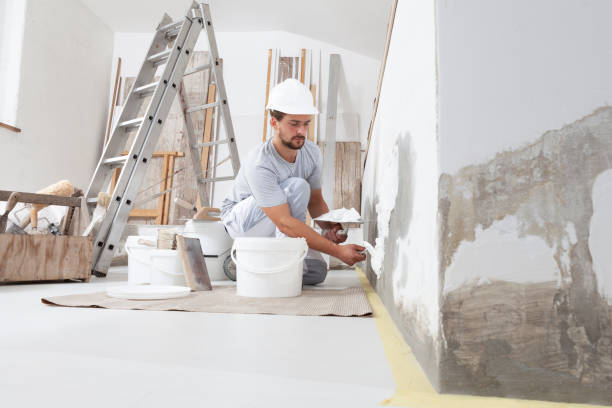 Niagara University, NY Mold Removal Company