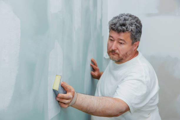 Best Biohazard Mold Removal  in Niagara University, NY