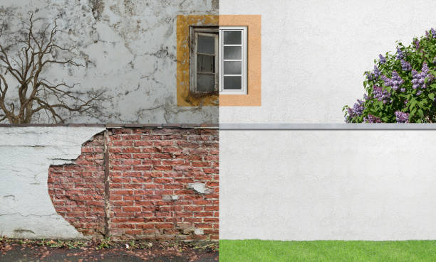 Best Basement Mold Removal  in Niagara University, NY