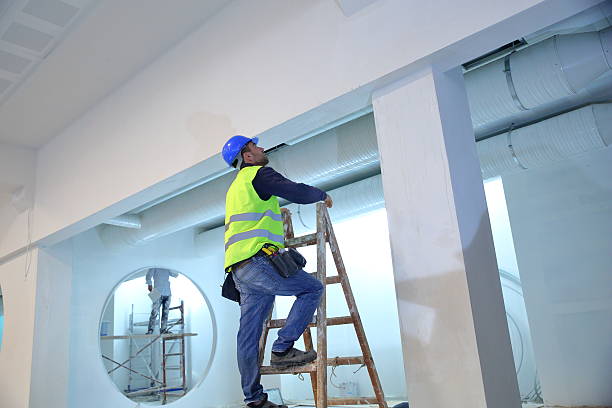 Best Comprehensive Air Testing for Mold Contaminants  in Niagara University, NY