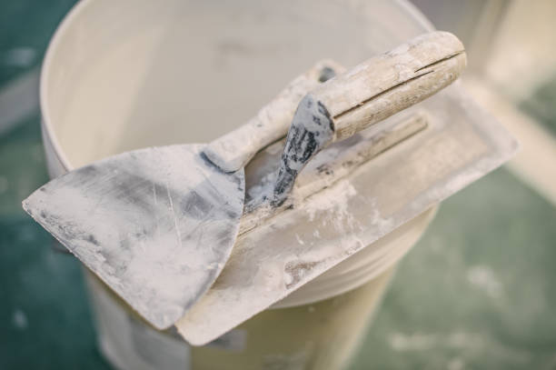 Best Industrial Mold Remediation  in Niagara University, NY